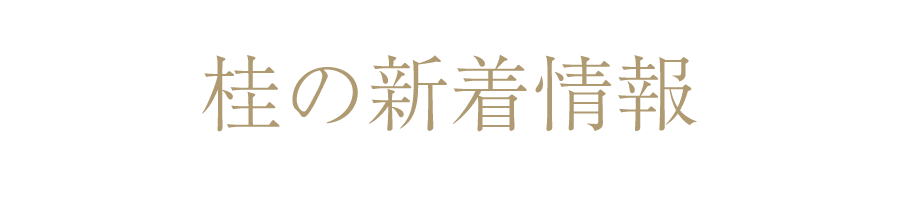 桂の新着情報